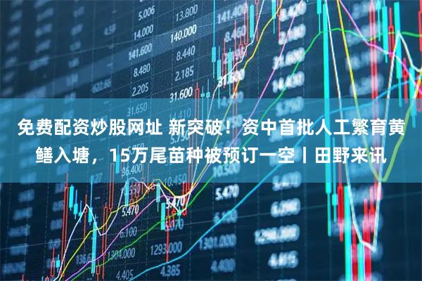 免费配资炒股网址 新突破！资中首批人工繁育黄鳝入塘，15万尾苗种被预订一空丨田野来讯
